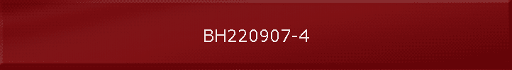 BH220907-4