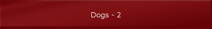 Dogs - 2