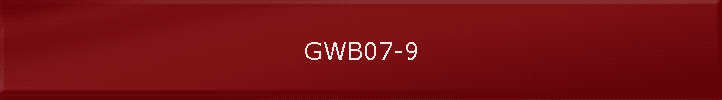 GWB07-9