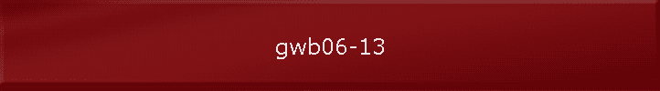 gwb06-13
