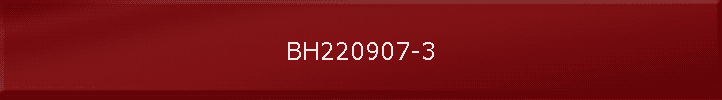 BH220907-3