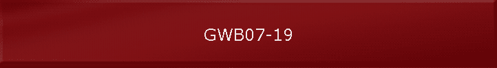 GWB07-19