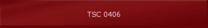 TSC 0406